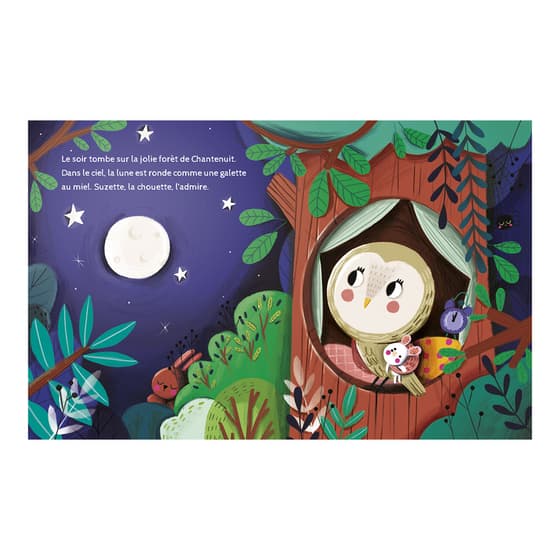 lit40776-livre-enfant-la-chouette-qui-ne-voulait-pas-dormir-cest-lheure-de-lhistoire-lito-1