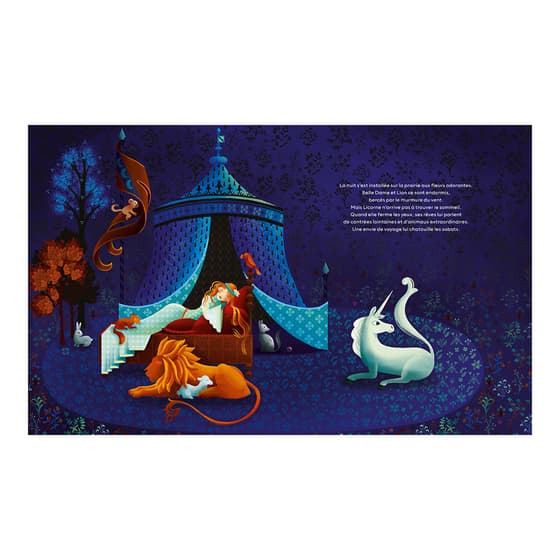 lit40321-livre-enfant-le-merveilleux-voyage-de-la-licorne-cherche-et-trouve-lito-3