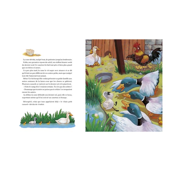 lit40577-livre-enfant-le-vilain-petit-canard-minicontes-classiques-lito-1