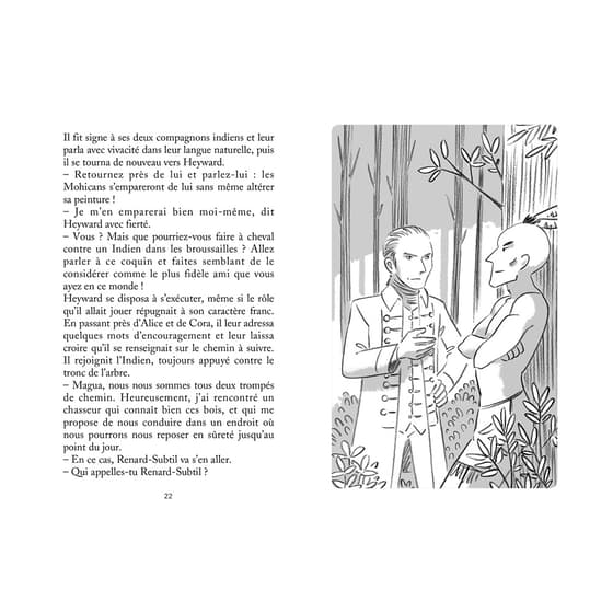 lit41522-livre-jeunesse-le-dernier-des-mohicans-la-bibliotheque-lito-3