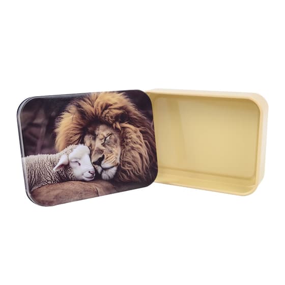 obe2548860-boite-a-bons-points-en-metal-anonym-lion-1