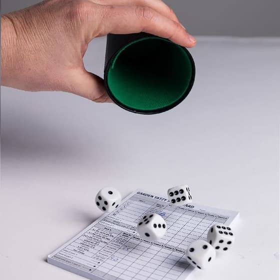 van601018-set-de-5-des-gobelet-a-des-et-feuilles-de-scores-6