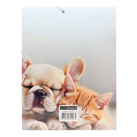 catanofobchechienchat-chemise-a-rabats-anonym-chien-et-chat-1