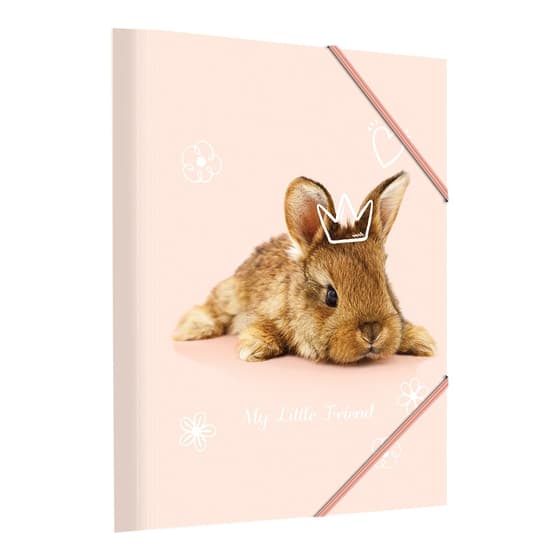 kid25kid01406lapin-chemise-3-rabats-little-friends-lapin