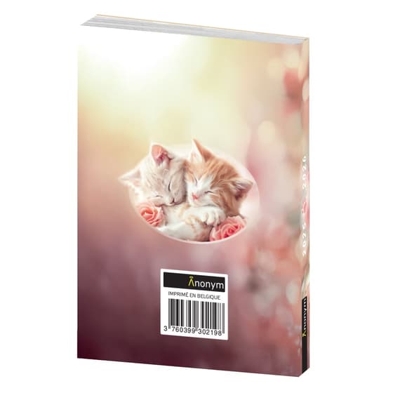 ano259140016135i-agenda-scolaire-chats-calin-anonym-2025-2026-2
