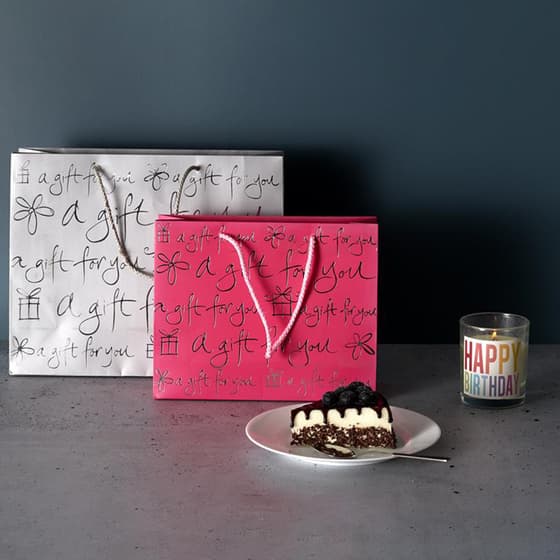 cmpdi28051fushia-sac-cadeau-kraft-rouge-fushia-20x25cm-2