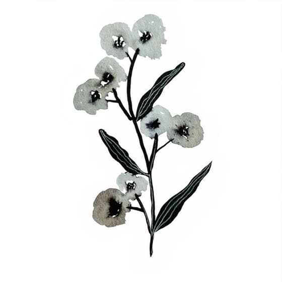 cleedc552-encre-de-chine-noire-cleopatre-45ml-3