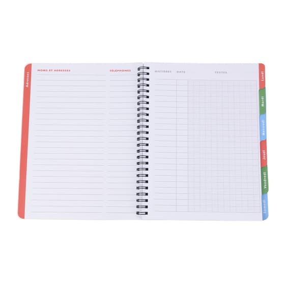 cat3760399301580-cahier-de-textes-anonym-bunny-3