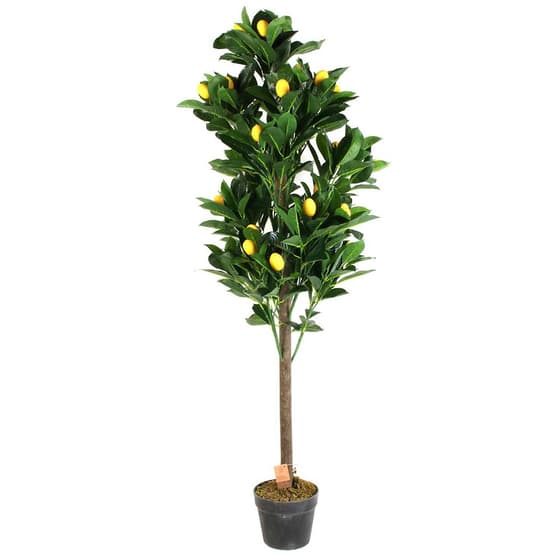 hd4153-plante-artificielle-citronnier-125cm-4 (1)