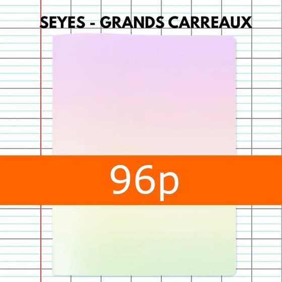 cat3760399301436-cahier-polypro-graphmate-sunset-pastel-24x32-96p-grands-carreaux-1