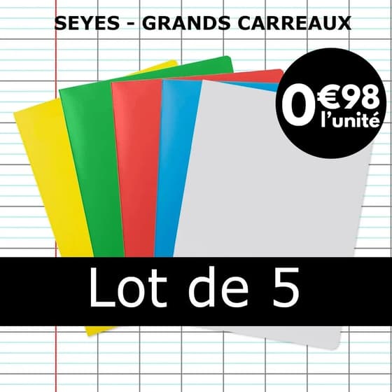 CLA18590BOXC-lot-de-5-cahiers-24x32-polypro-graphmate-96p-grands-carreaux-seyes-pastille