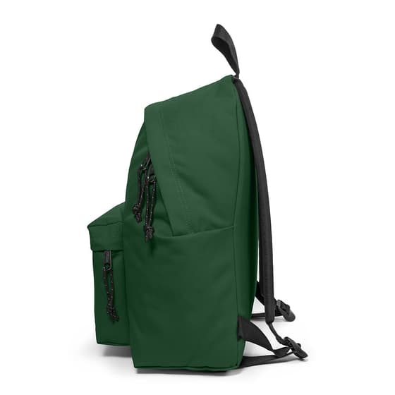 ek0006205v4-sac-a-dos-eastpak-padded-pakr-bristle-green-1-compartiment-2
