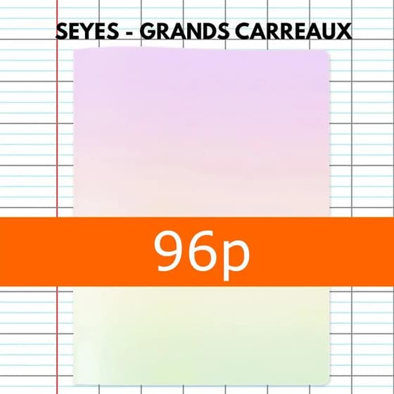 cat3760399301436-cahier-polypro-graphmate-sunset-pastel-24x32-96p-grands-carreaux-1 (1)