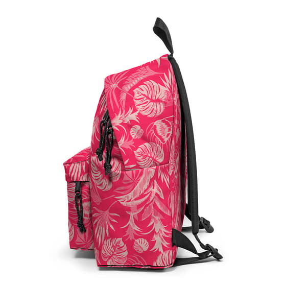 ek0006202z5-sac-a-dos-eastpak-padded-pakr-brize-pink-beige-1-compartiment-rose-2