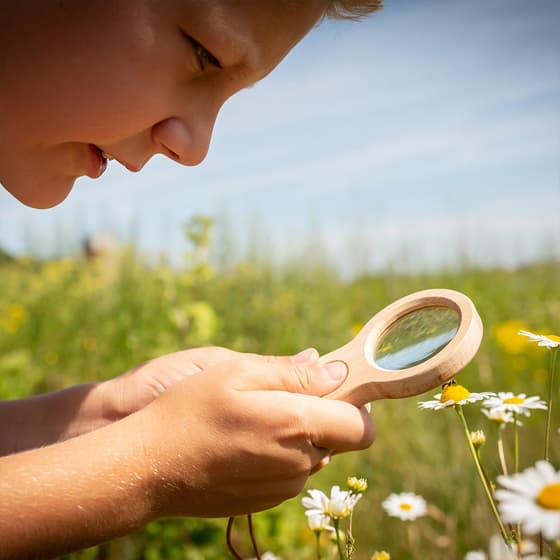 kikhb04f-double-loupe-d-observation-5