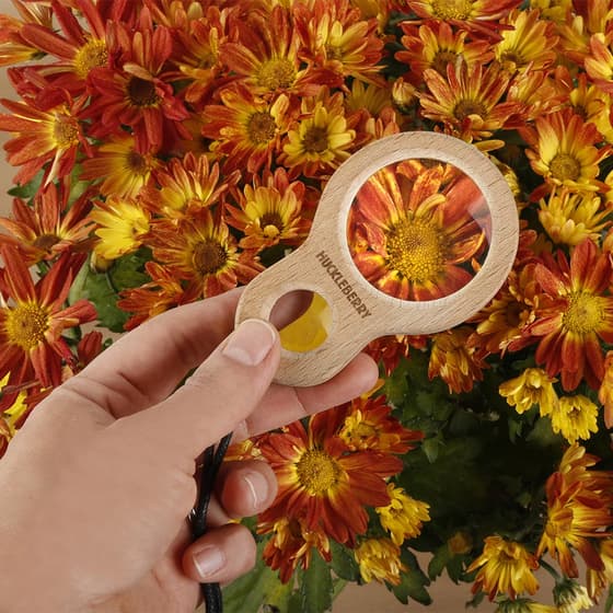 kikhb04f-double-loupe-d-observation-8