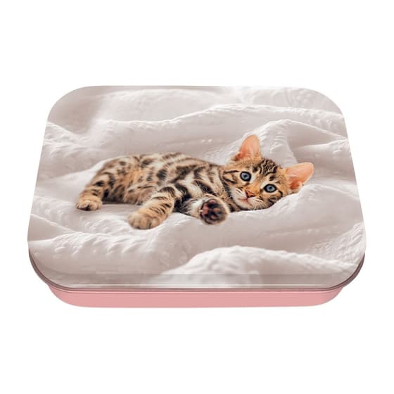 obe2648851-boite-a-tout-en-metal-oberthur-chaton-1
