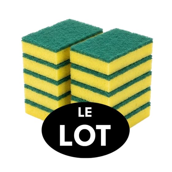lot-10-eponge-vegetale-double-face-petit-format
