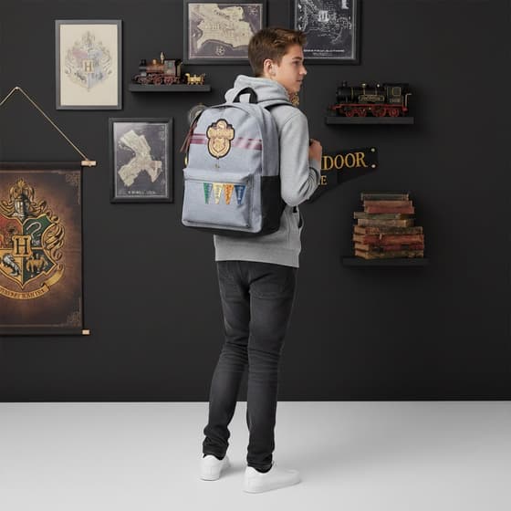 KIDHAP52089-Sac-à-dos-HARRY-POTTER-Quidditch-University-1-compartiment-(2)