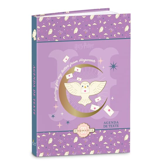 kidhap55640violet-cahier-de-textes-harry-potter-hedwig-hogwarts-letter-violet-1
