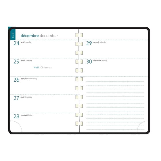 exa1501603e-agenda-semainier-exacompta-sad-15s-easytime-joy-pistache-15x21cm-annee-civile-2027-2