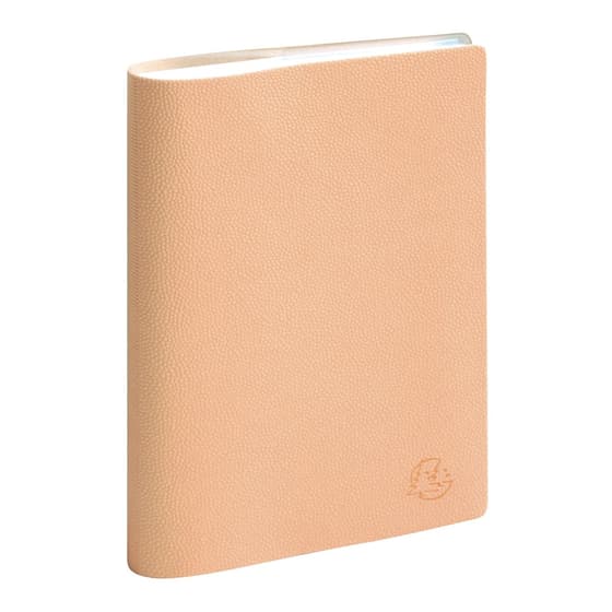 exa1501604e-agenda-semainier-exacompta-sad-15s-easytime-joy-peche-15x21cm-annee-civile-2027-1
