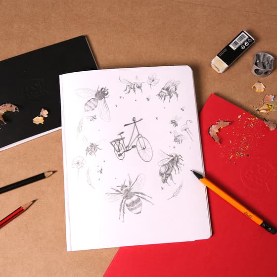 cla60341c-carnet-de-dessin-17x11-crokbook-pique-ivoire-48-pages-blanches-90g-4 - Copie