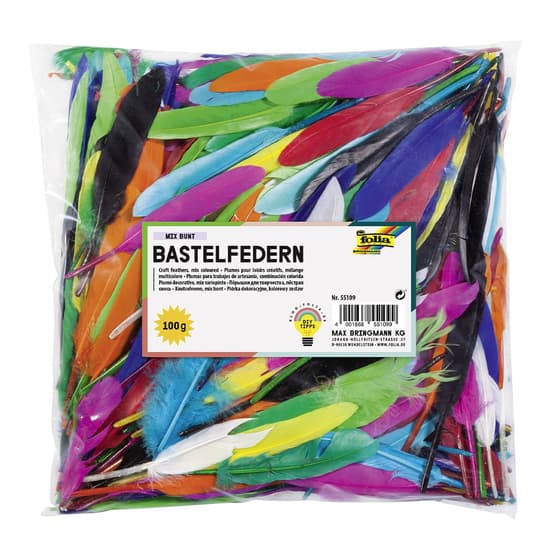 fol55109-plumes-indiennes-100g-coloris-assortis-1