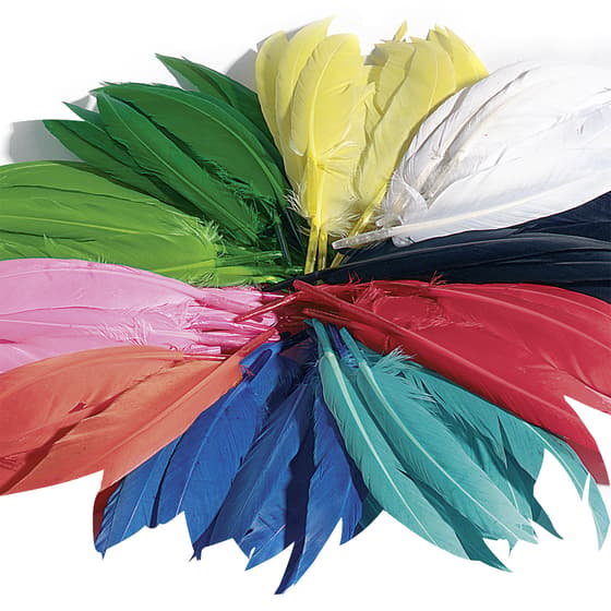 fol55109-plumes-indiennes-100g-coloris-assortis-2