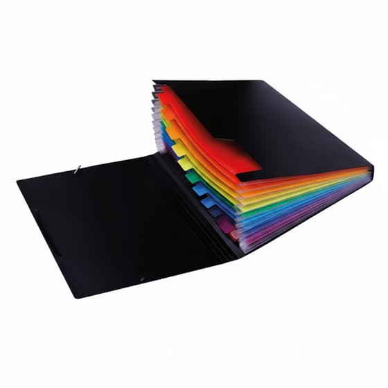 maipc619-trieur-valisette-a-soufflet-12-compartiments-a4-polypro-noir-2
