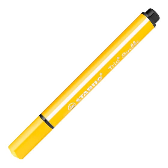 ecr03-003-8-feutres-stabilo-trio-scribbi-pointe-large(2)