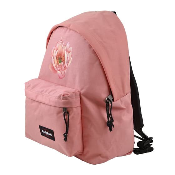 une-rose-recon26304383(5)
