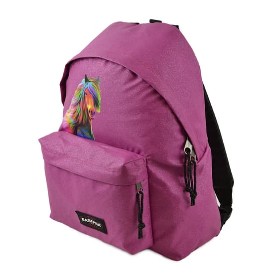 cheval-aux-couleurs-de-l'arc-en-ciel-recon26305427-(7)