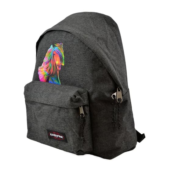 cheval-aux-couleurs-de-l'arc-en-ciel-recon26304734-(17)