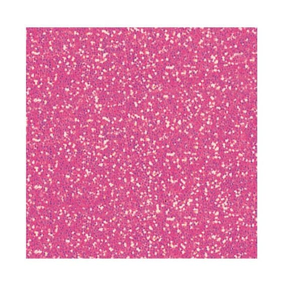 42744O-42744O-Pot-de-paillettes-Glit-s-rose-fluo-AVENUE-MANDARINE