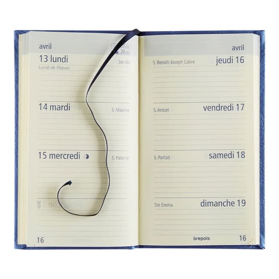 bre071833959960marron-agenda-semainier-brepols-optivision-lucca-9x16cm-annee-civile-2025-marron-2