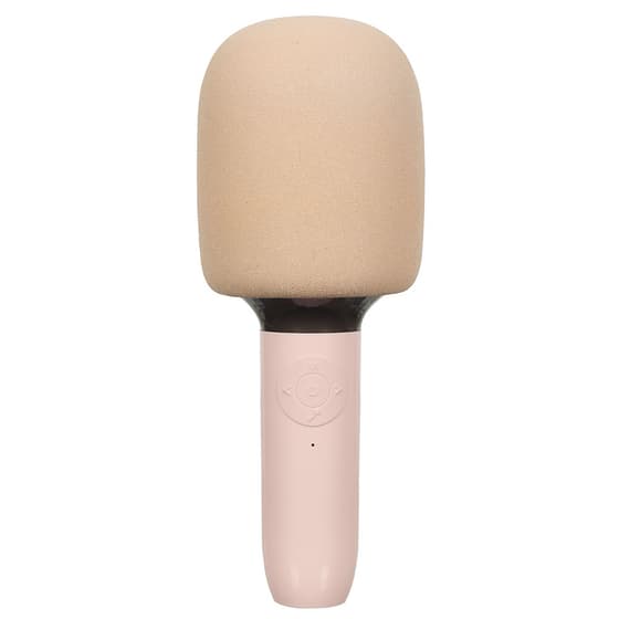 lac44vf013-micro-karaoke-je-chante-comme-celine-1