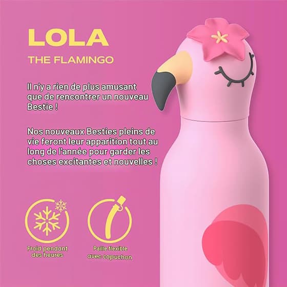 Flamingo-Bestie-Bottle-(3)
