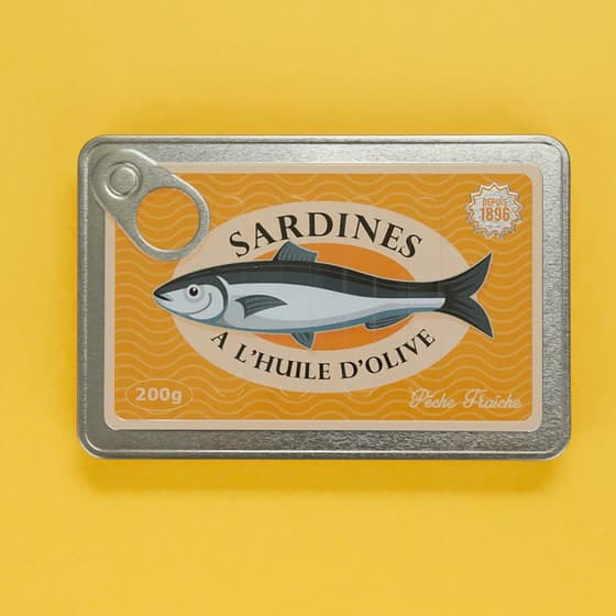 bal28097-carnet-boîte-de-sardines-balvi-5