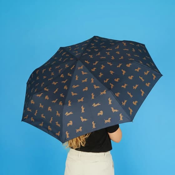 bal28201-parapluie-teckel-noir-avec-housse-balvi-6