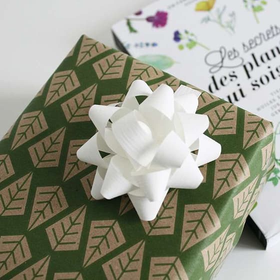 CLA223843C-Rouleau-papier-cadeau-CLAIREFONTAINE-feuilles-vertes-50m