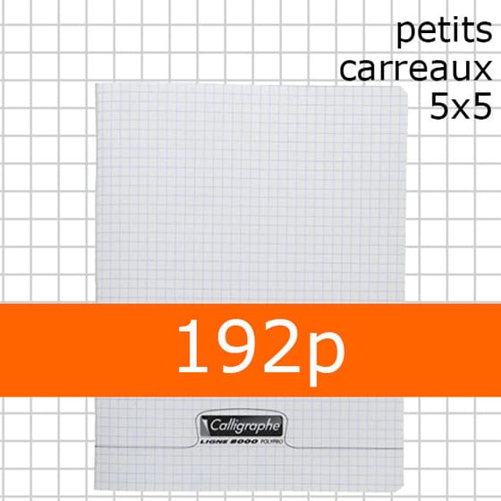 cah03-0094-cahier-17x22cm-incolore-calligraphe-petits-carreaux