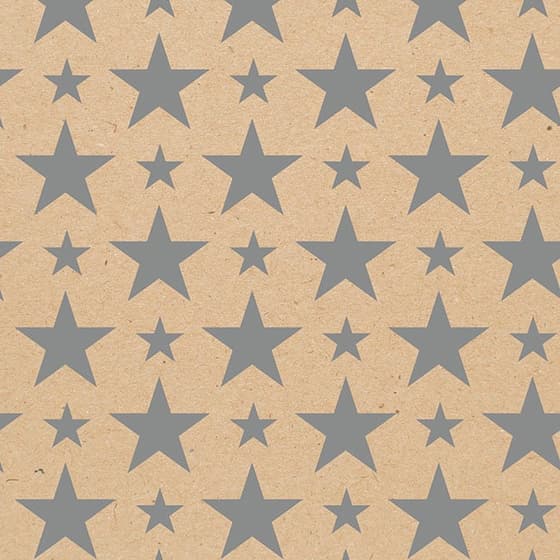CLA223801C-Rouleau-de-papier-cadeau-CLAIREFONTAINE-etoiles-argent-50m-2