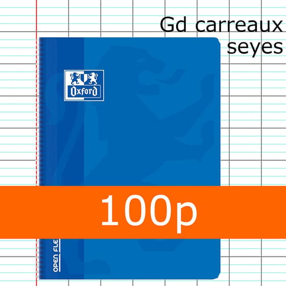 HAM400007660BLEU-cahier-openflex-spirale-polypro-bleu-oxford-24x32-100p-grands-carreaux-seyes-90g