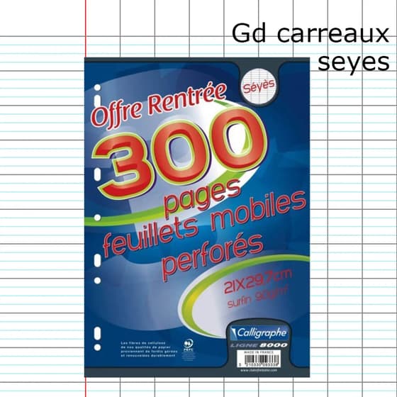 Fournitures-scolaire-pas-cher-300P_copies_simple-A4-seyes-grand-carreaux_4c2104bf443ef