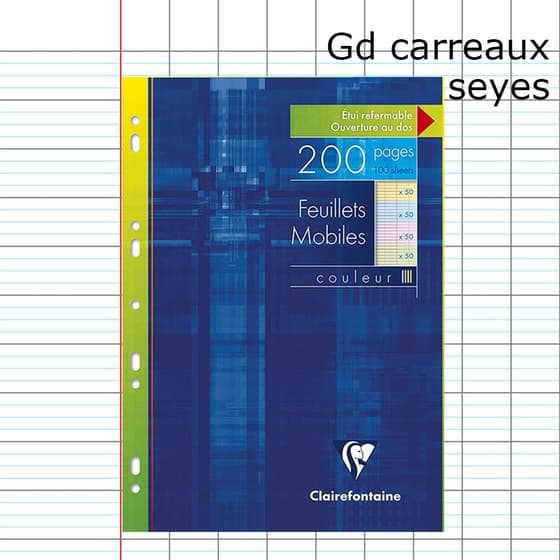fcp01-0016-200-pages-a4-perforees-grands-carreaux-couleurs-assorties