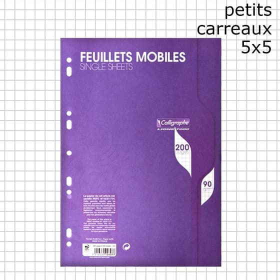 fourniture-scolaire-pas-cher-200_Feuilles_mobiles-A4-5x5-90g-petit-carreaux_5154806523fbb