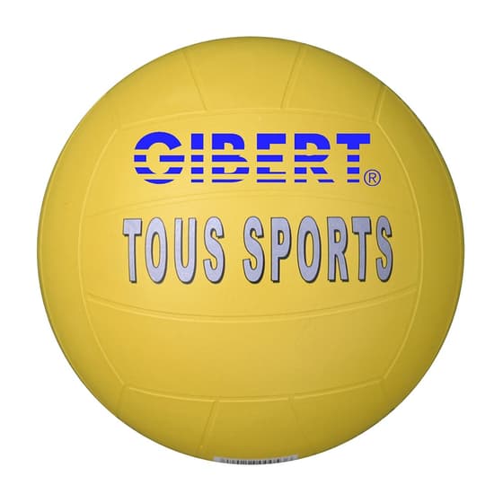 800053-ballon-tous-sports-en-caoutchouc