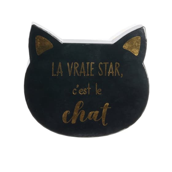 RG6219-2-boîtes-de-rangement-chat (5)