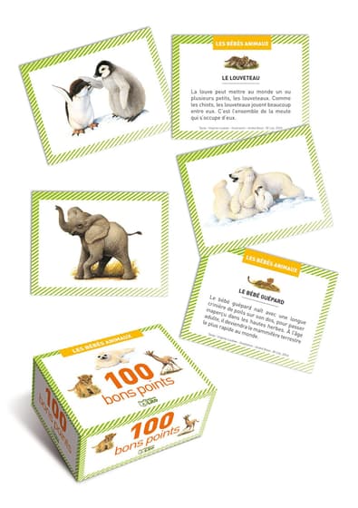 9782244019338-boite-bons-pointslito-les-bebes-animaux
